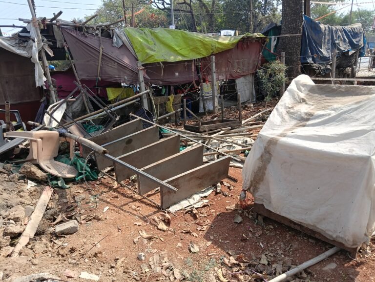 नगर पालिका परिषद की सौतेला कार्यवाही, फारेस्ट के जमीन पर बिना एनओसी के कर लिया गया है कब्जा