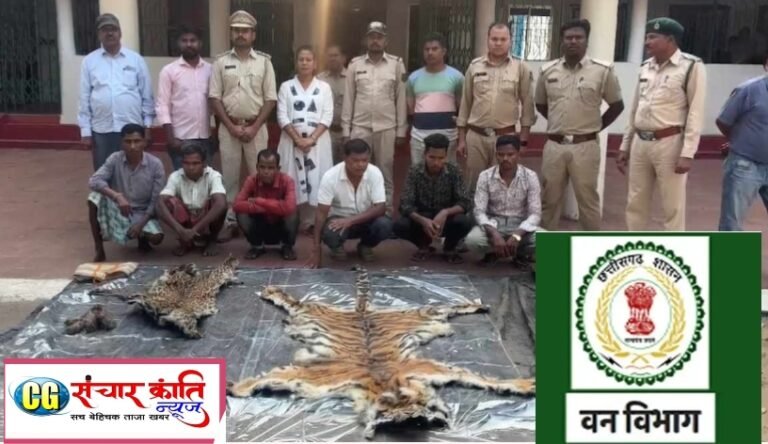 वन विभाग में मासूम बाघ का किया गया शिकार, पदस्थ डिप्टी रेंजर भी निकला शिकारी गिरोह का हिस्सा कर लिया गया गिरफ्तार