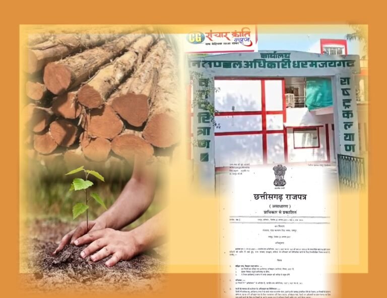 धरमजयगढ़ वन मंडल में लगातार हो रहा है खुलासा, कर्मचारी अधिकारी की सांठ गांठ से भ्रष्टाचार को दिया जा रहा है अंजाम