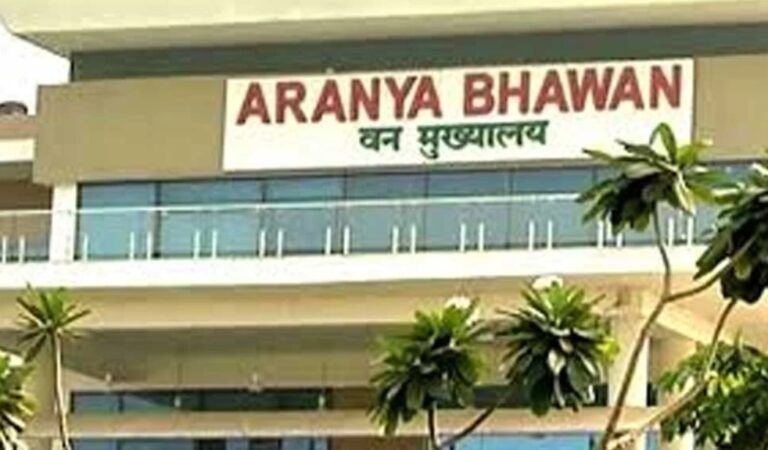 वन विभाग में रायपुर वन वृत्त के मुख्य वन संरक्षक ने आदेश जारी कर 31 वन रक्षकों काे पदोन्नति कर बनाया फारेस्टर